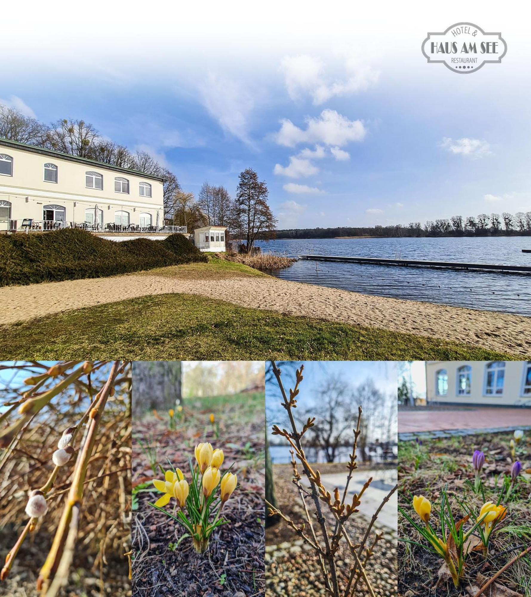 Hotel & Restaurant Haus Am See Locknitz ภายนอก รูปภาพ