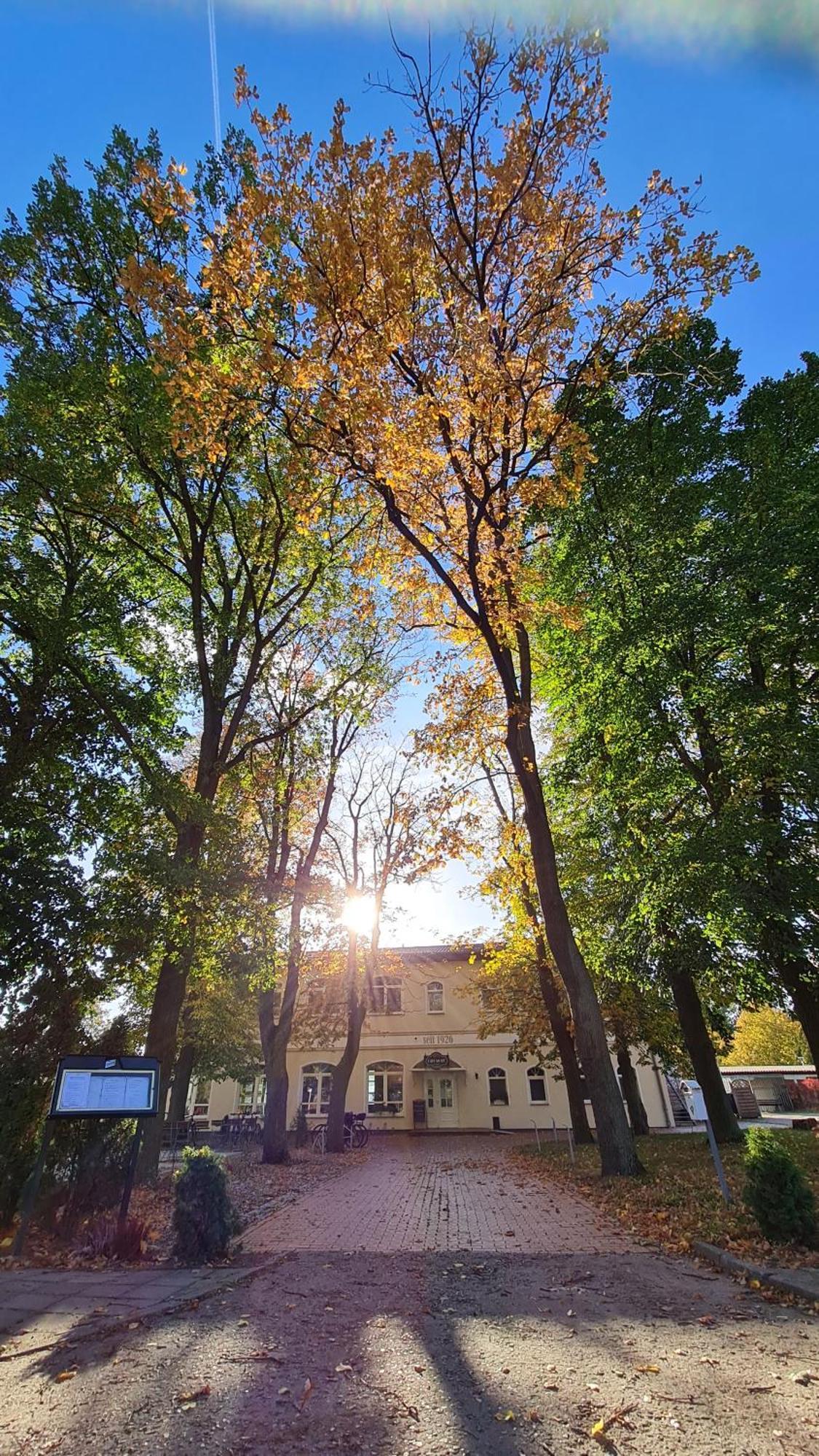 Hotel & Restaurant Haus Am See Locknitz ภายนอก รูปภาพ