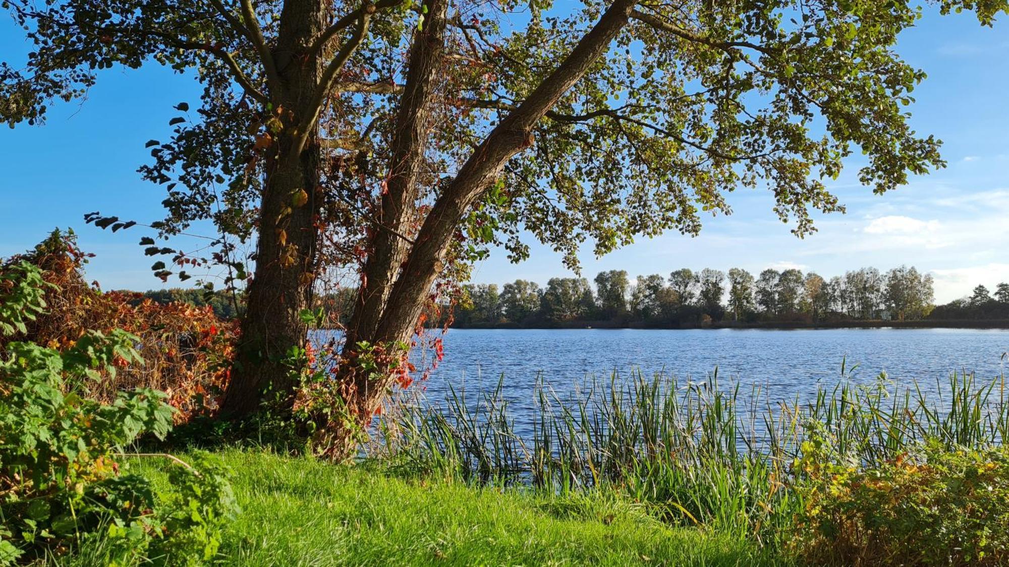 Hotel & Restaurant Haus Am See Locknitz ภายนอก รูปภาพ